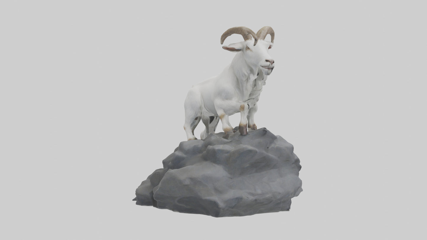3D model Goat climbing rocks model VR / AR / low-poly