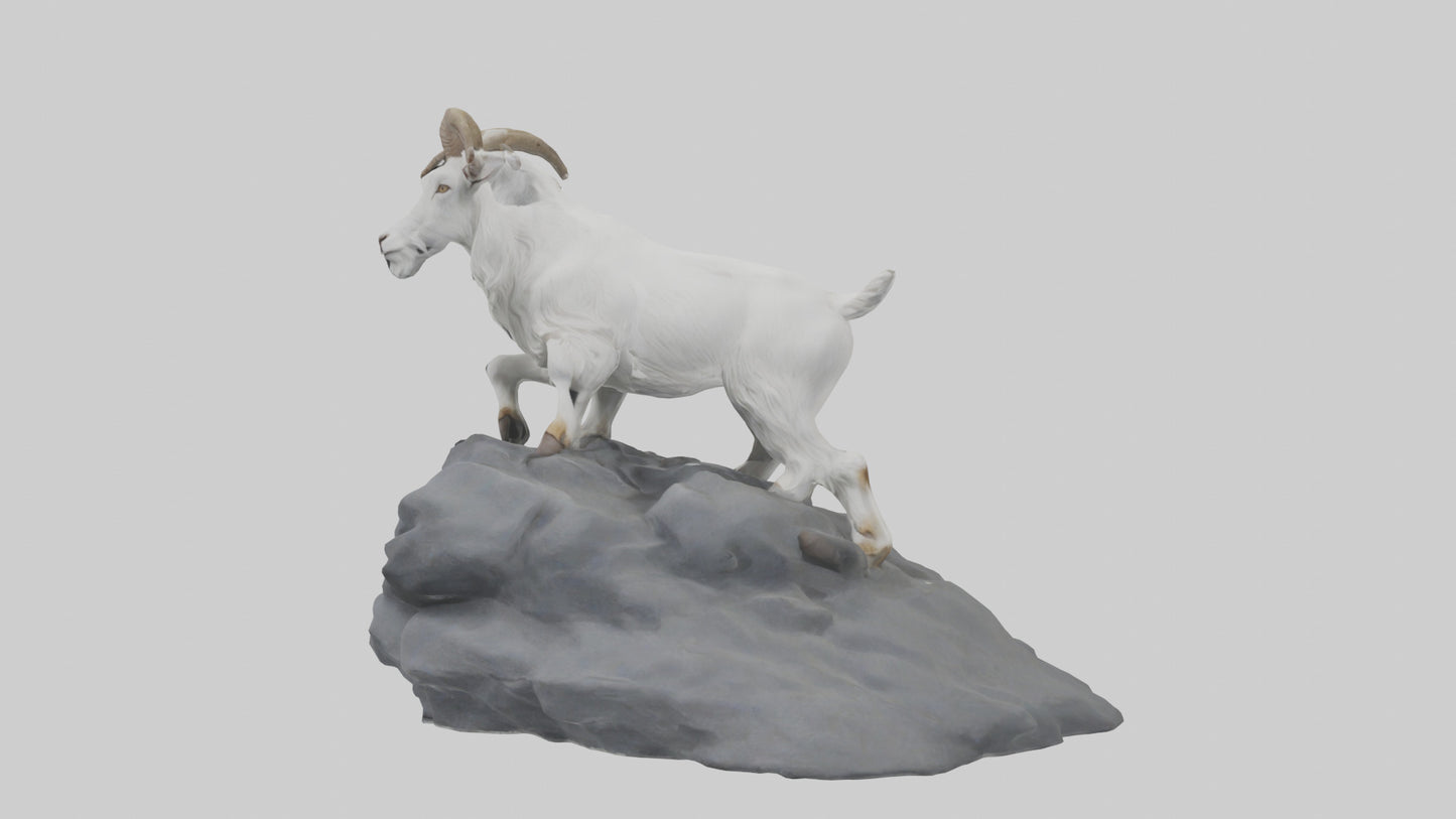 3D model Goat climbing rocks model VR / AR / low-poly