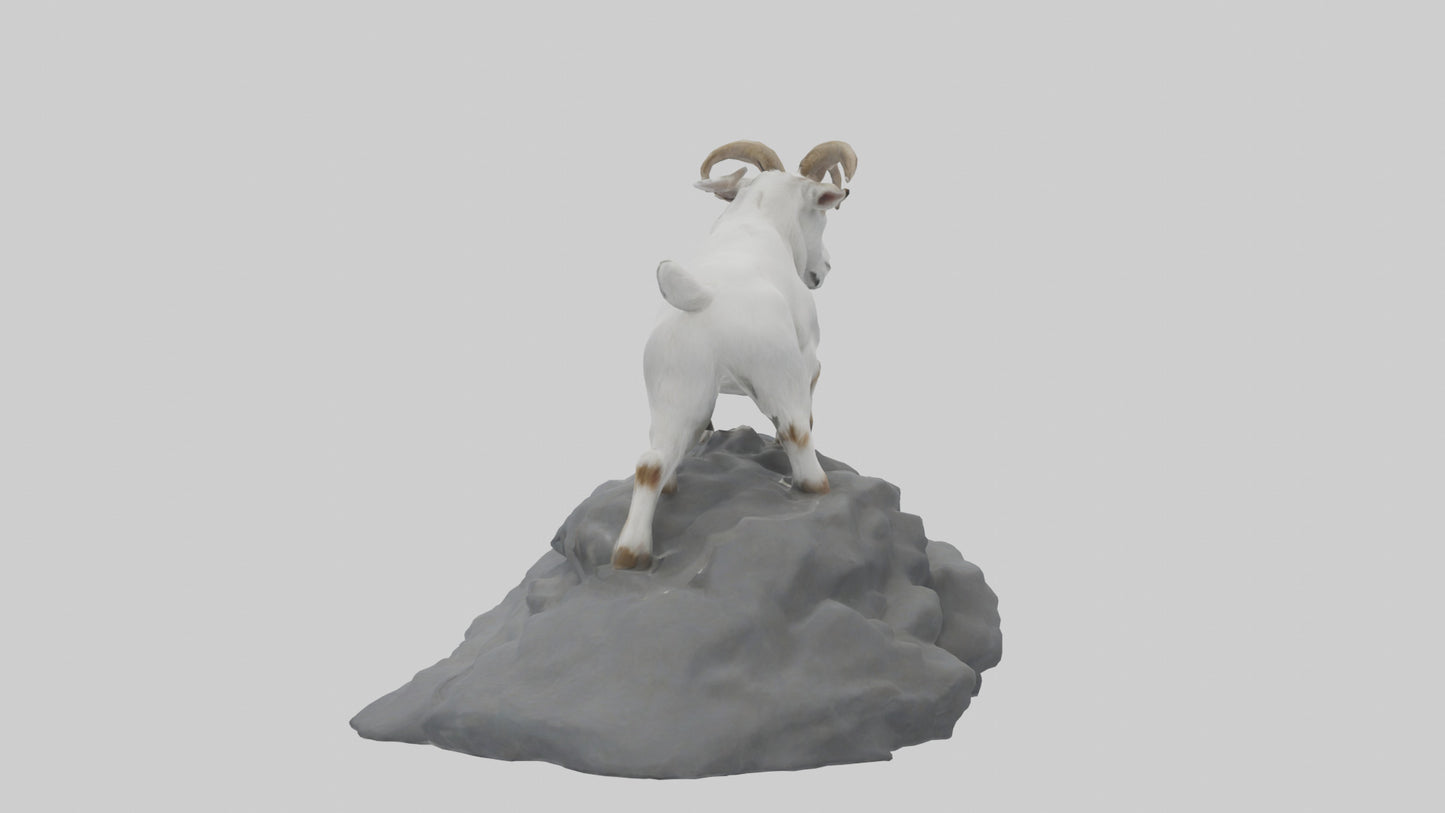 3D model Goat climbing rocks model VR / AR / low-poly