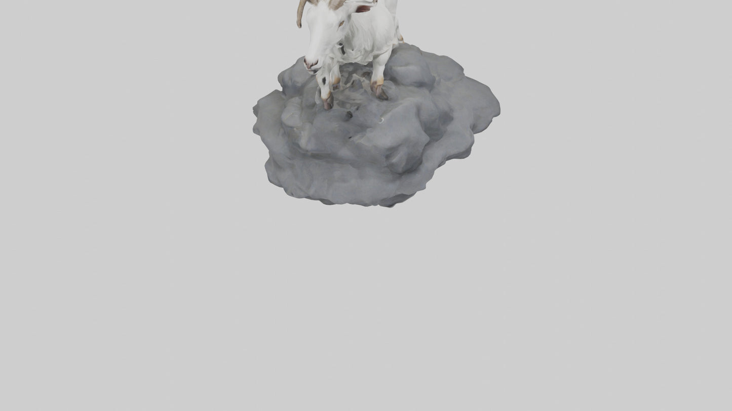 3D model Goat climbing rocks model VR / AR / low-poly