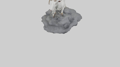 3D model Goat climbing rocks model VR / AR / low-poly