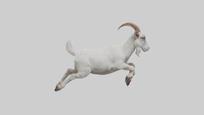 3D model Goat hopping model VR / AR / low-poly