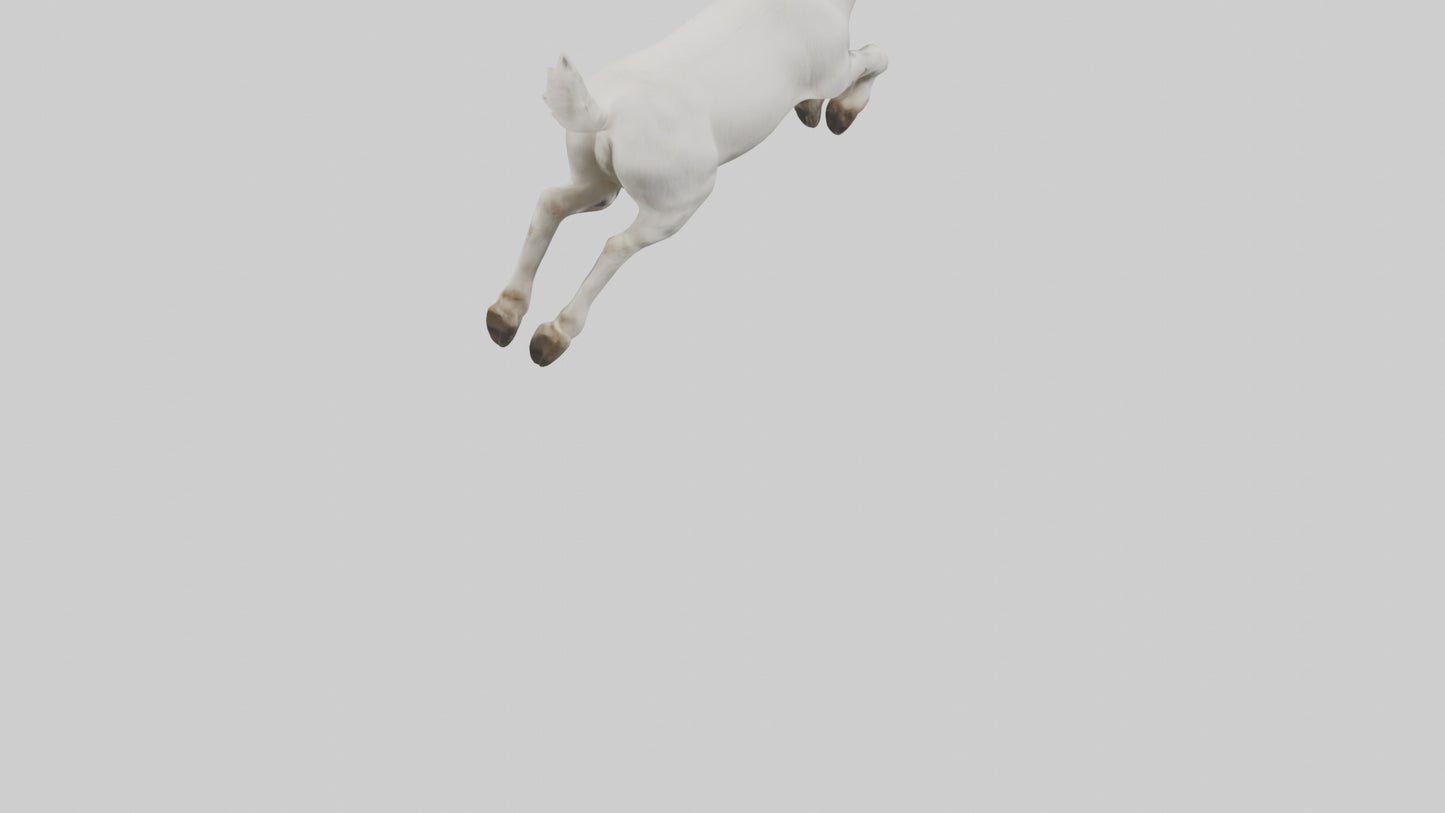 3D model Goat hopping model VR / AR / low-poly