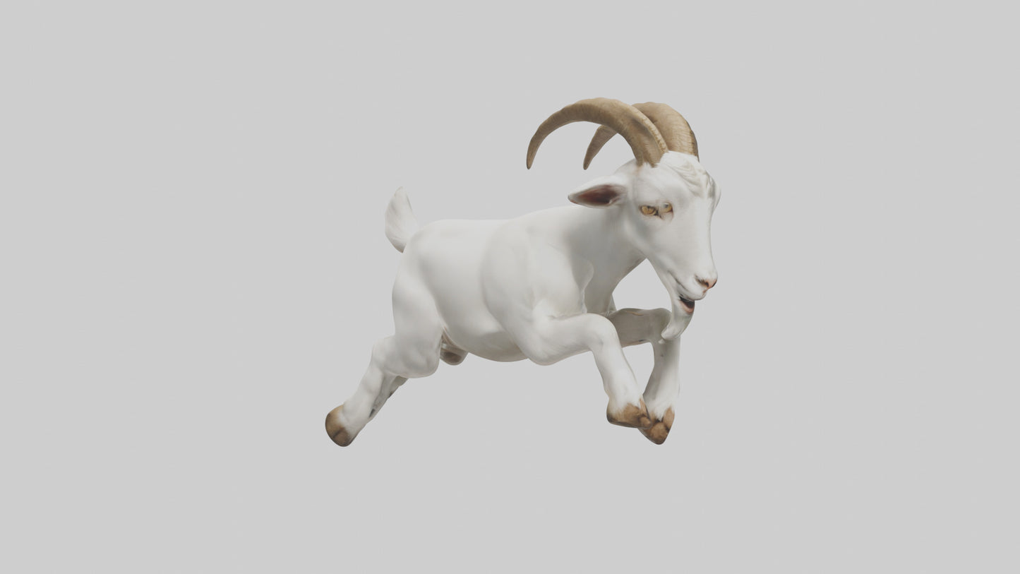 Goat Hopping Model VR / AR / low-poly
