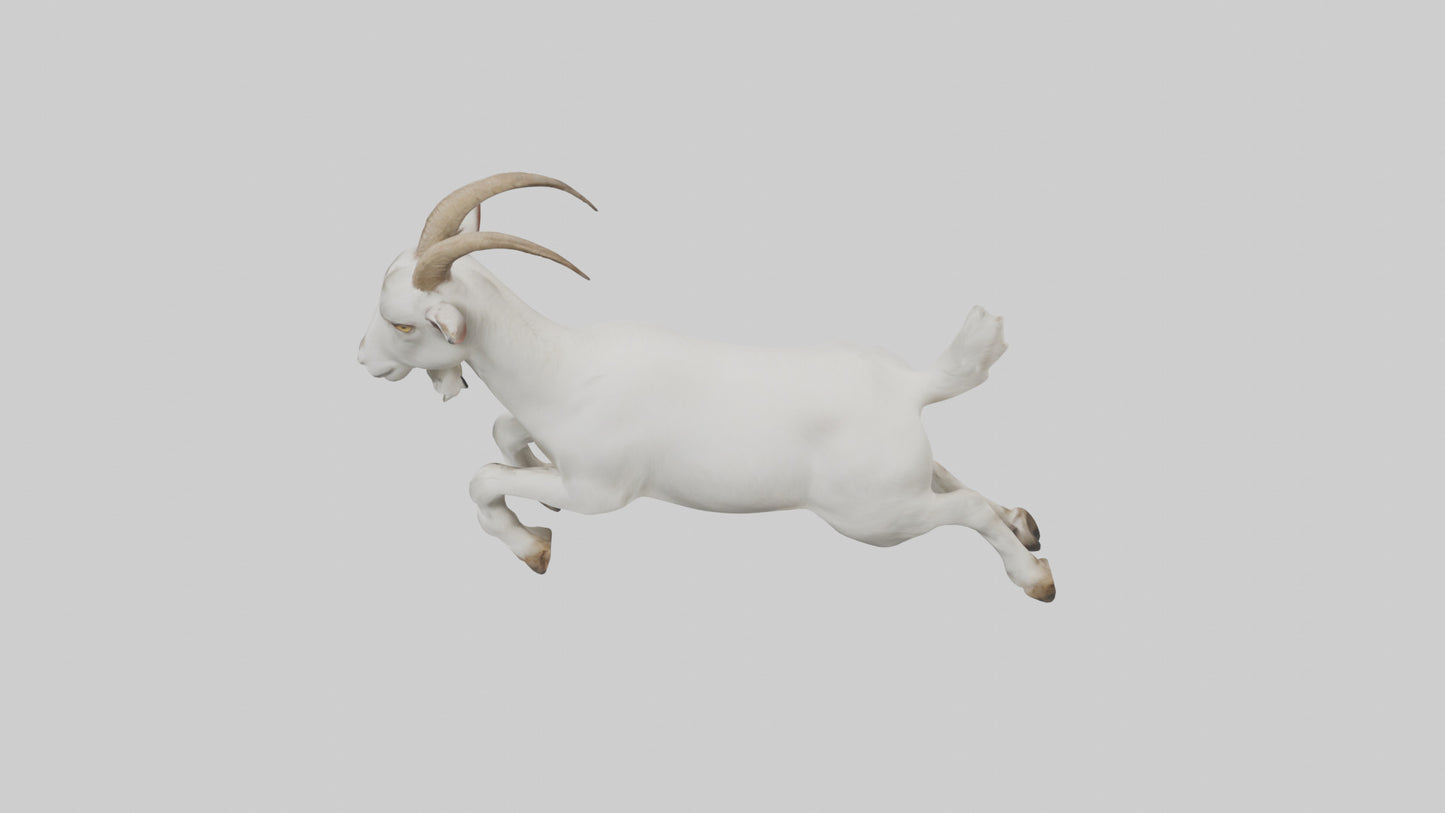 3D model Goat hopping model VR / AR / low-poly