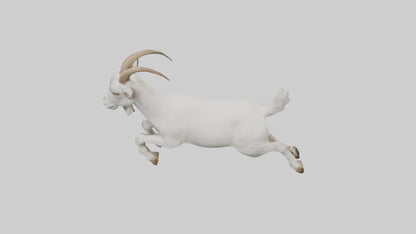 3D model Goat hopping model VR / AR / low-poly