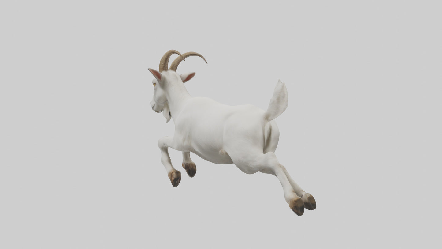 3D model Goat hopping model VR / AR / low-poly
