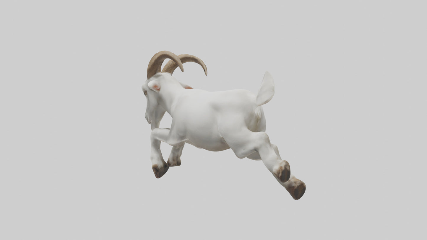 Goat Hopping Model VR / AR / low-poly