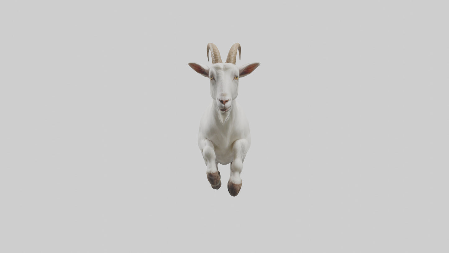 3D model Goat hopping model VR / AR / low-poly