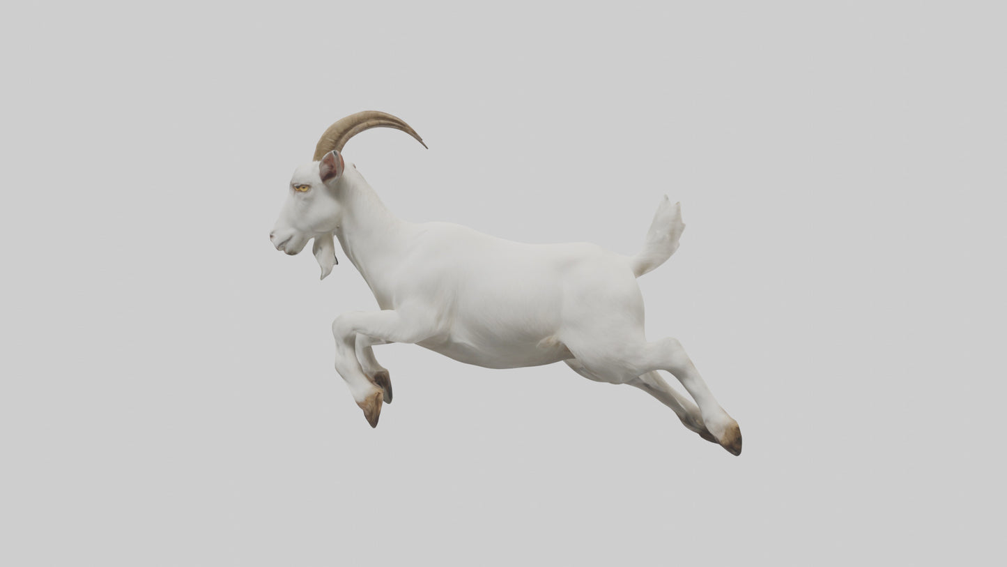 3D model Goat hopping model VR / AR / low-poly