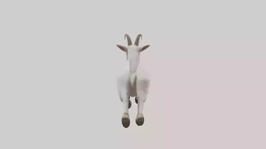3D model Goat hopping model VR / AR / low-poly
