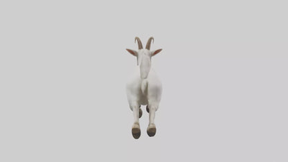 3D model Goat hopping model VR / AR / low-poly
