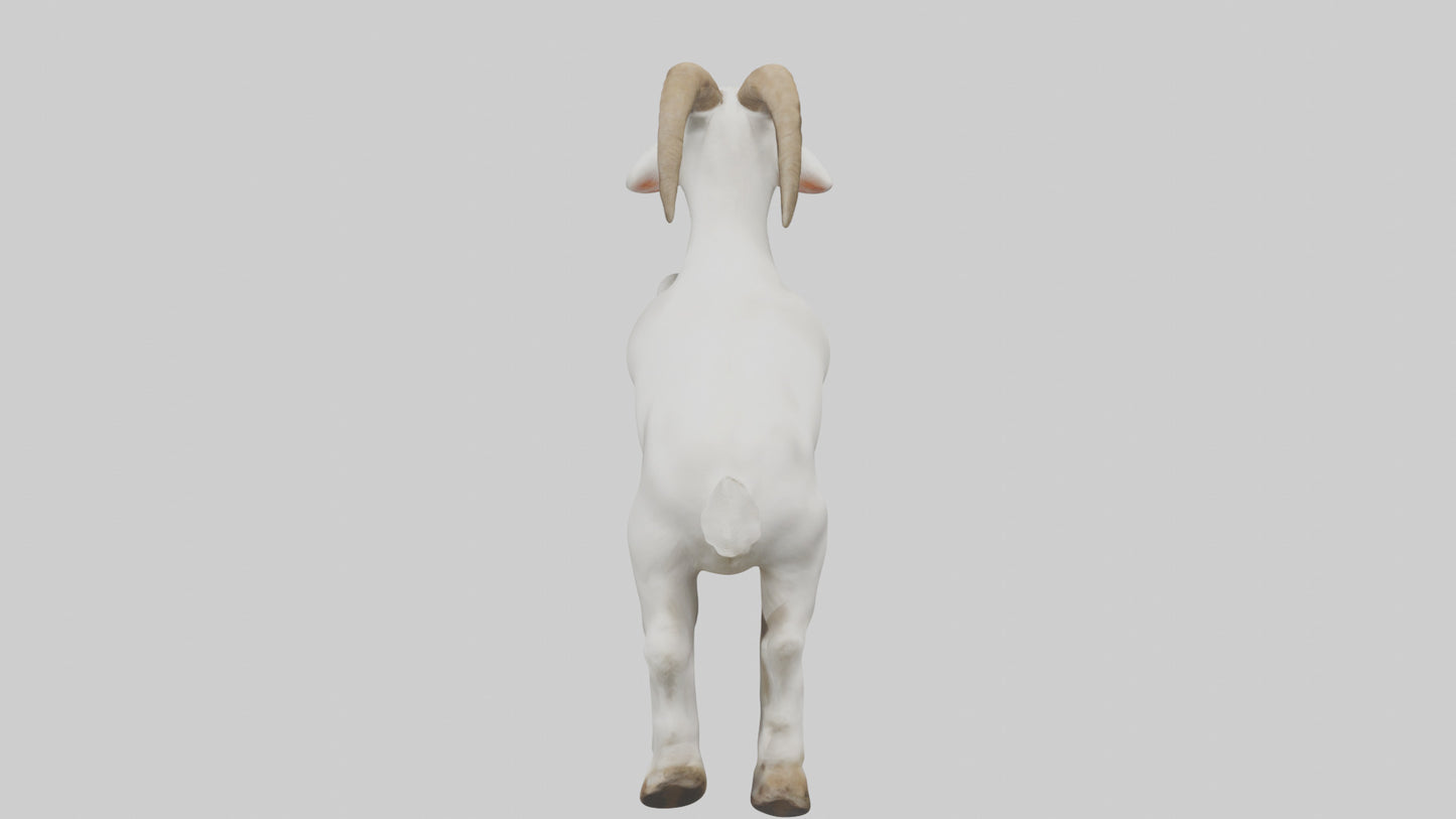 Goat Hopping Model VR / AR / low-poly