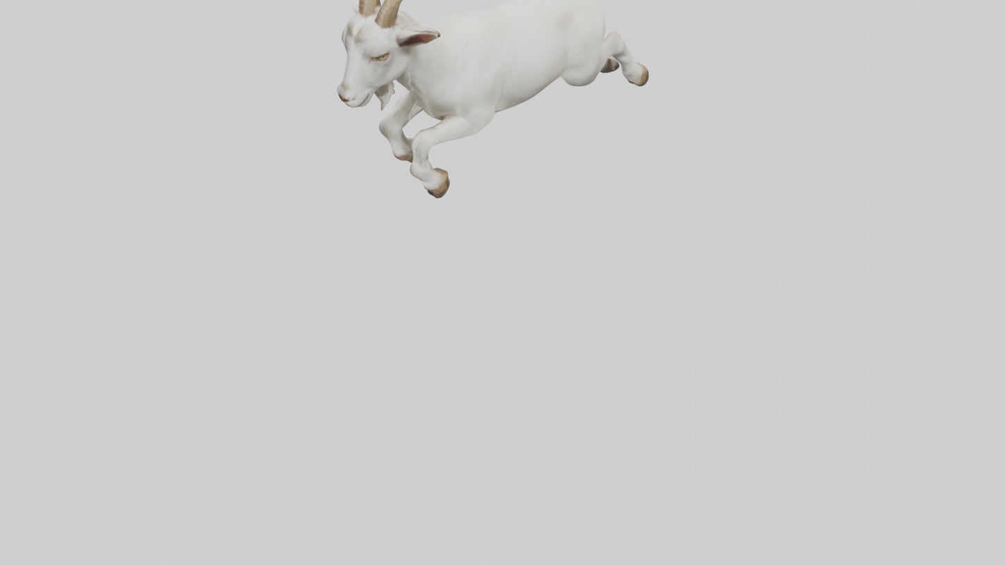 3D model Goat hopping model VR / AR / low-poly