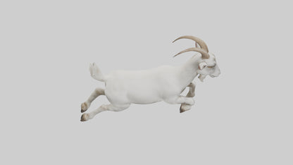 3D model Goat hopping model VR / AR / low-poly
