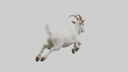 3D model Goat hopping model VR / AR / low-poly