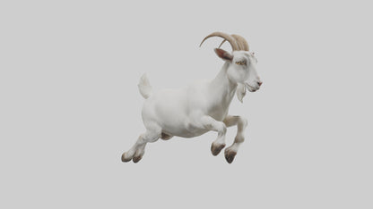 3D model Goat hopping model VR / AR / low-poly