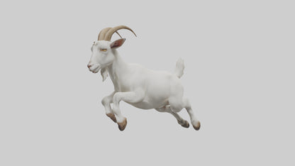 3D model Goat hopping model VR / AR / low-poly