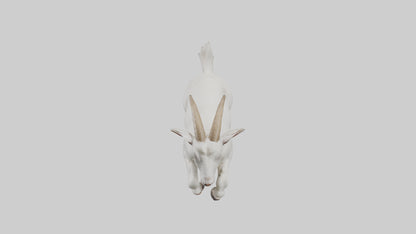 3D model Goat hopping model VR / AR / low-poly