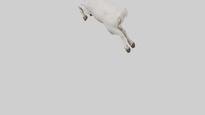 3D model Goat hopping model VR / AR / low-poly