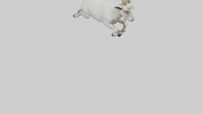 3D model Goat hopping model VR / AR / low-poly
