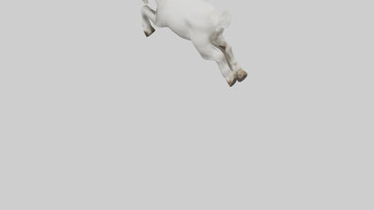 Goat Hopping Model VR / AR / low-poly
