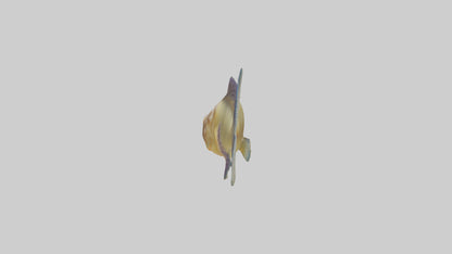 Goby Fish hiding model VR / AR / low-poly
