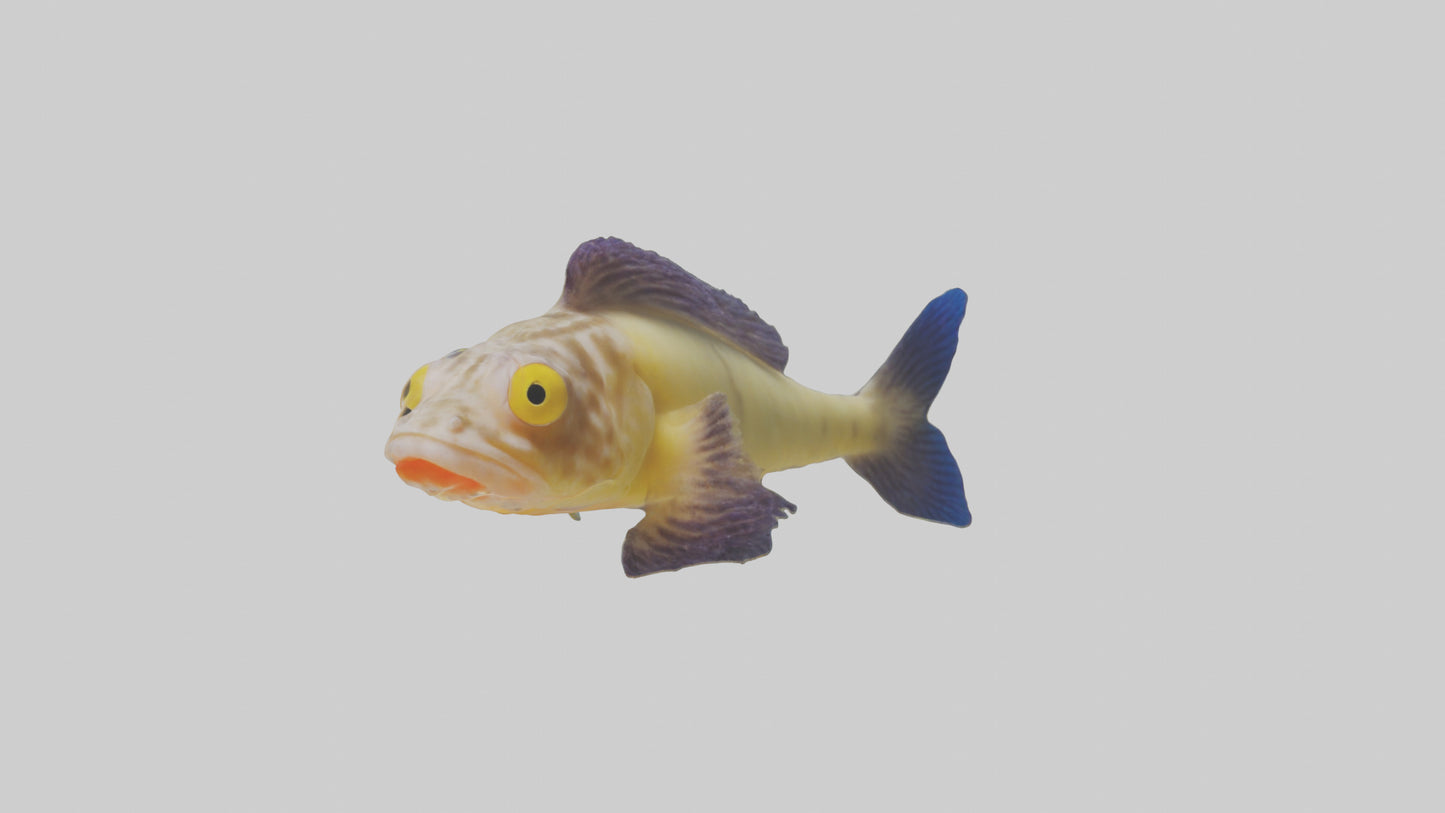 Goby Fish hiding model VR / AR / low-poly