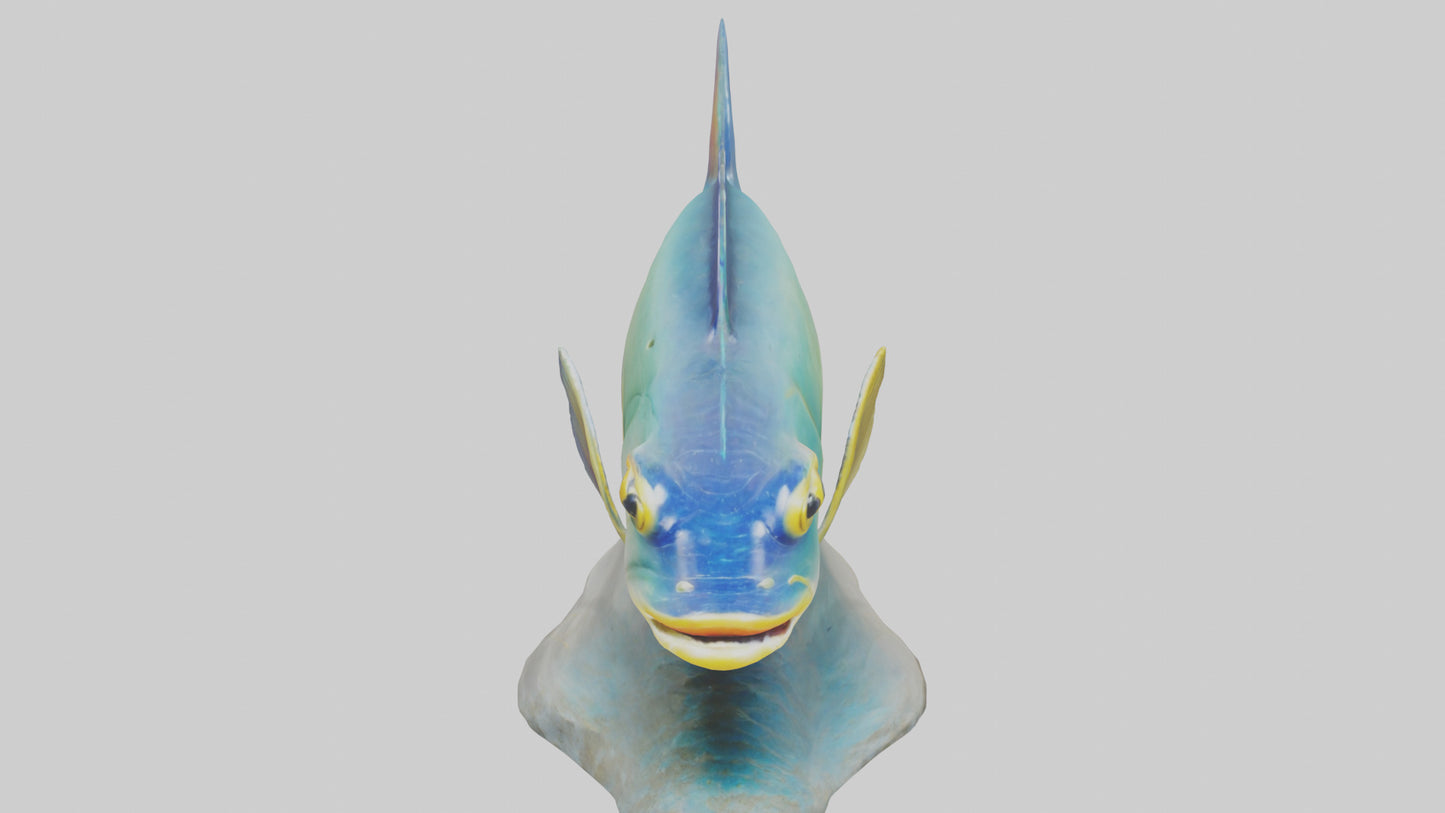 3D model Goby Fish statue model VR / AR / low-poly