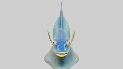 3D model Goby Fish statue model VR / AR / low-poly