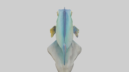 3D model Goby Fish statue model VR / AR / low-poly