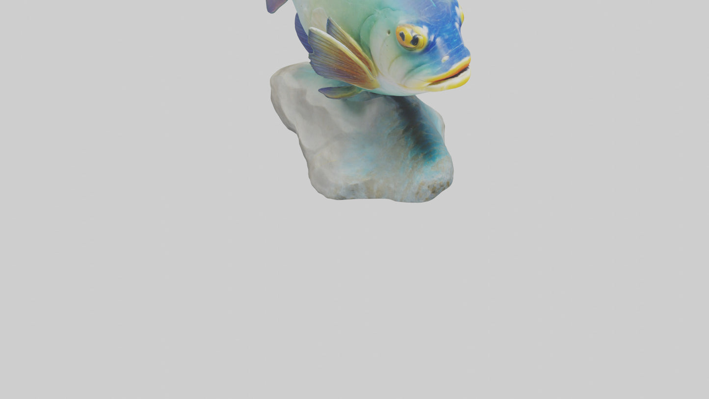 3D model Goby Fish statue model VR / AR / low-poly