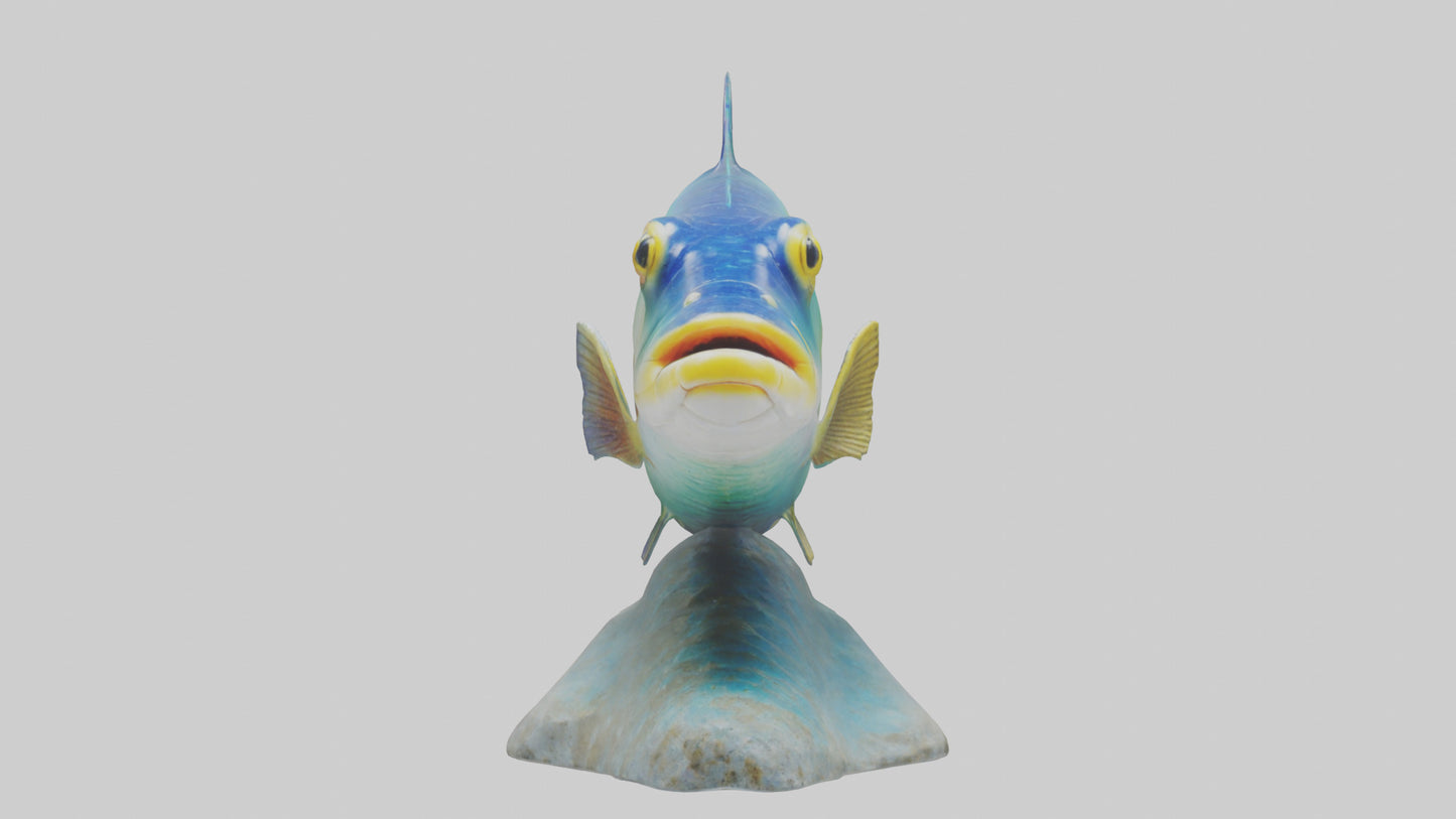 3D model Goby Fish statue model VR / AR / low-poly