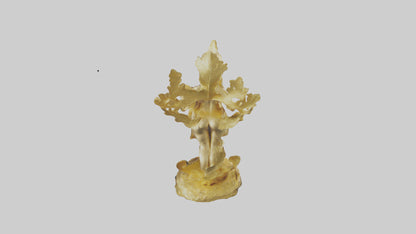 3D model Gold leaf statue model VR / AR / low-poly