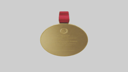 3D model Gold Medal for Excellence model VR / AR / low-poly