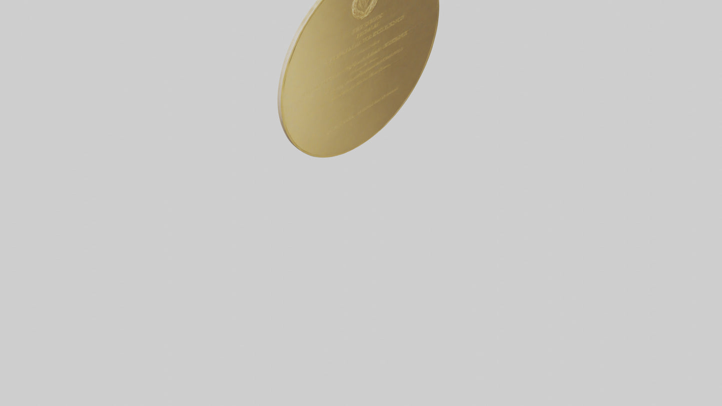 3D model Gold Medal for Excellence model VR / AR / low-poly