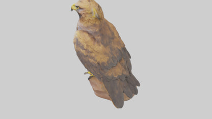 3D model Golden Eagle perched model VR / AR / low-poly