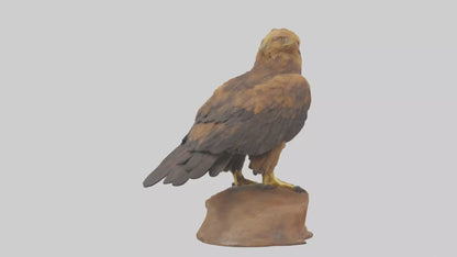 3D model Golden Eagle perched model VR / AR / low-poly