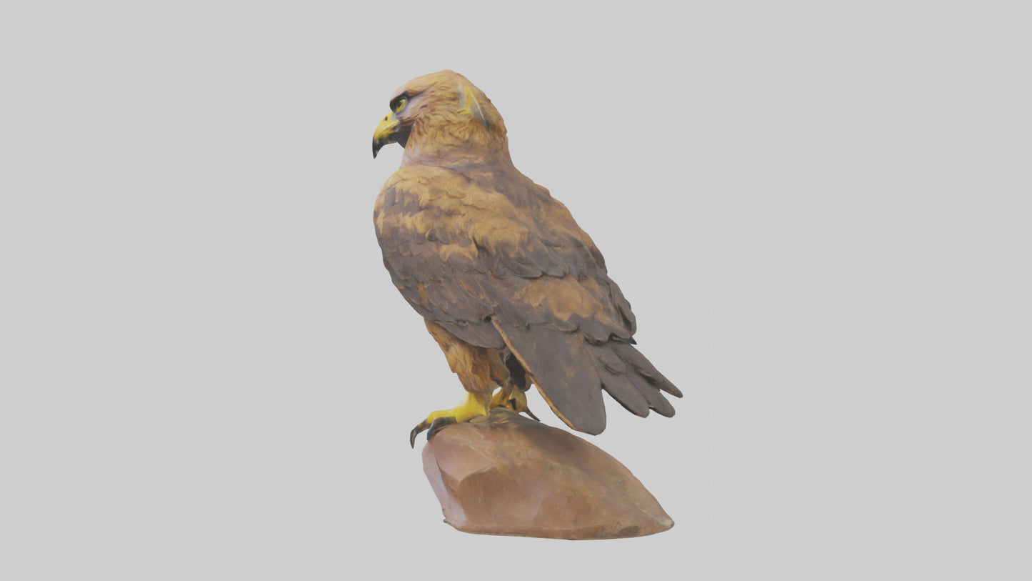 3D model Golden Eagle perched model VR / AR / low-poly