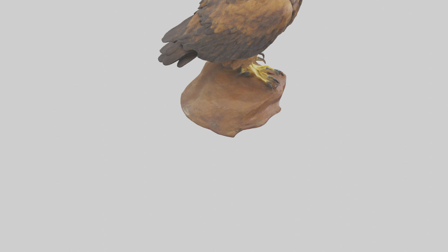 3D model Golden Eagle perched model VR / AR / low-poly