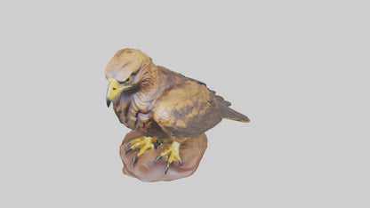 3D model Golden Eagle perched model VR / AR / low-poly