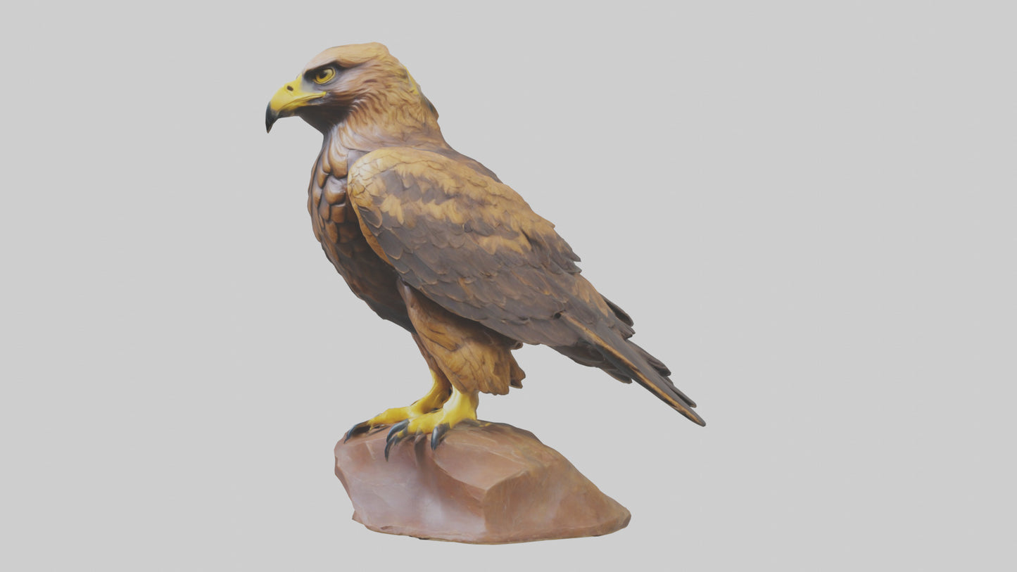 3D model Golden Eagle perched model VR / AR / low-poly