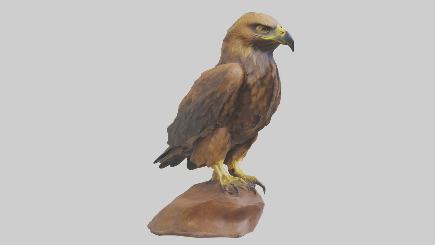 3D model Golden Eagle perched model VR / AR / low-poly