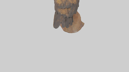3D model Golden Eagle perched model VR / AR / low-poly