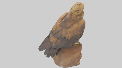 3D model Golden Eagle perched model VR / AR / low-poly