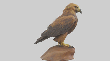 3D model Golden Eagle perched model VR / AR / low-poly