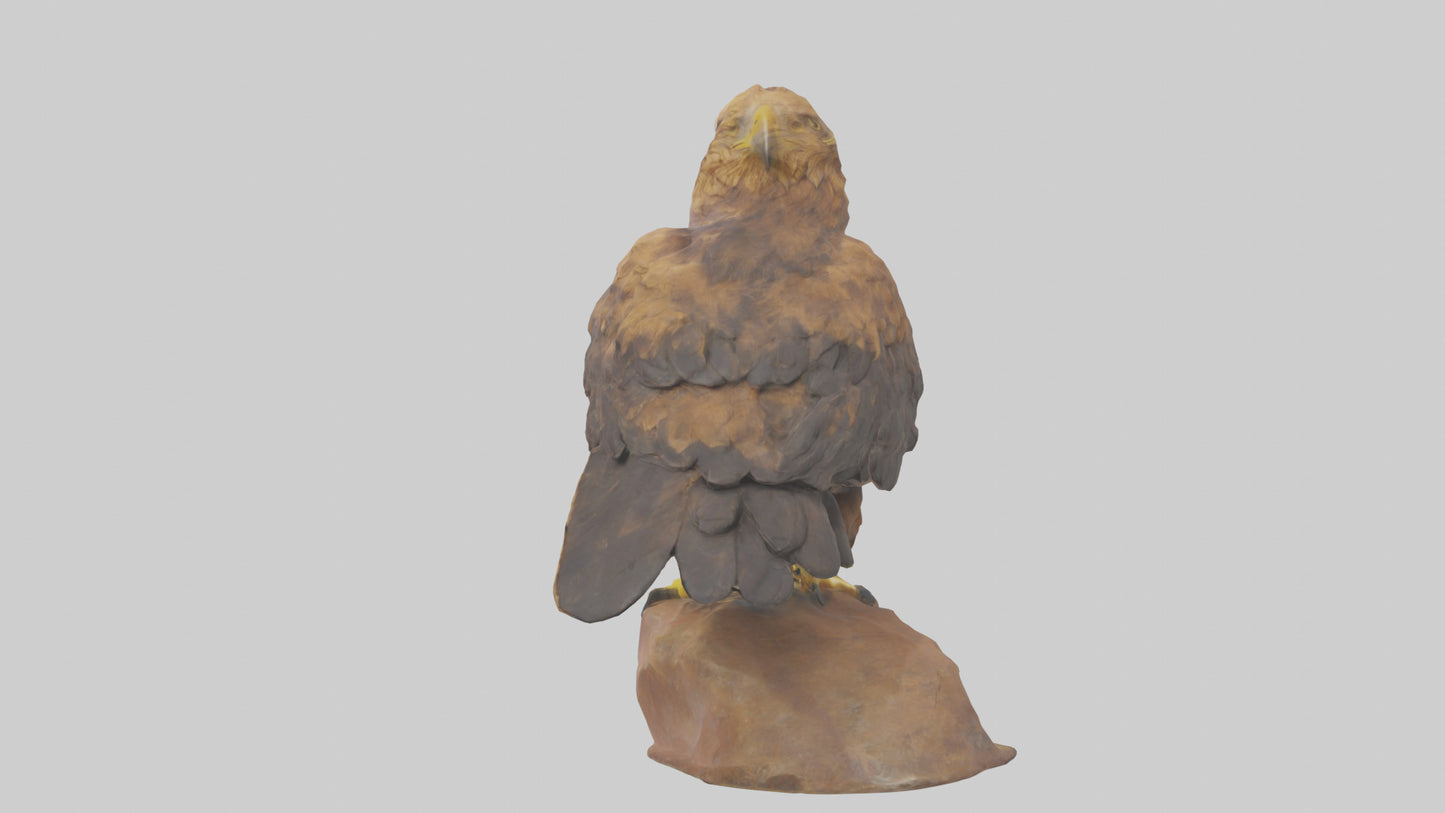 3D model Golden Eagle perched model VR / AR / low-poly