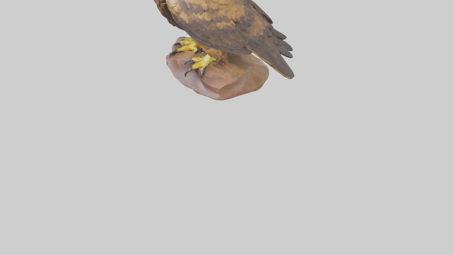 3D model Golden Eagle perched model VR / AR / low-poly