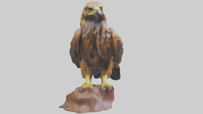 3D model Golden Eagle perched model VR / AR / low-poly