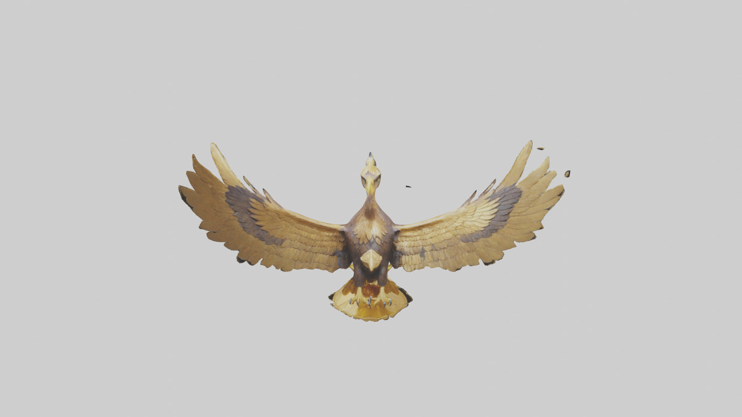 3D model Golden Eagle Wings Model VR / AR / low-poly